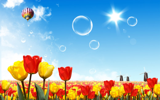491589 (a): :1920x1200